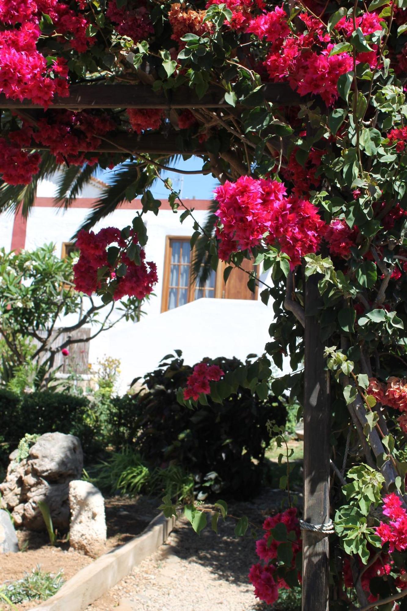 Casa Rural Anton Piche With Pool-Adults Only Granadilla De Abona Exterior foto