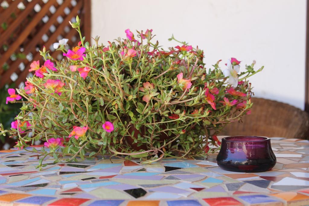 Casa Rural Anton Piche With Pool-Adults Only Granadilla De Abona Exterior foto