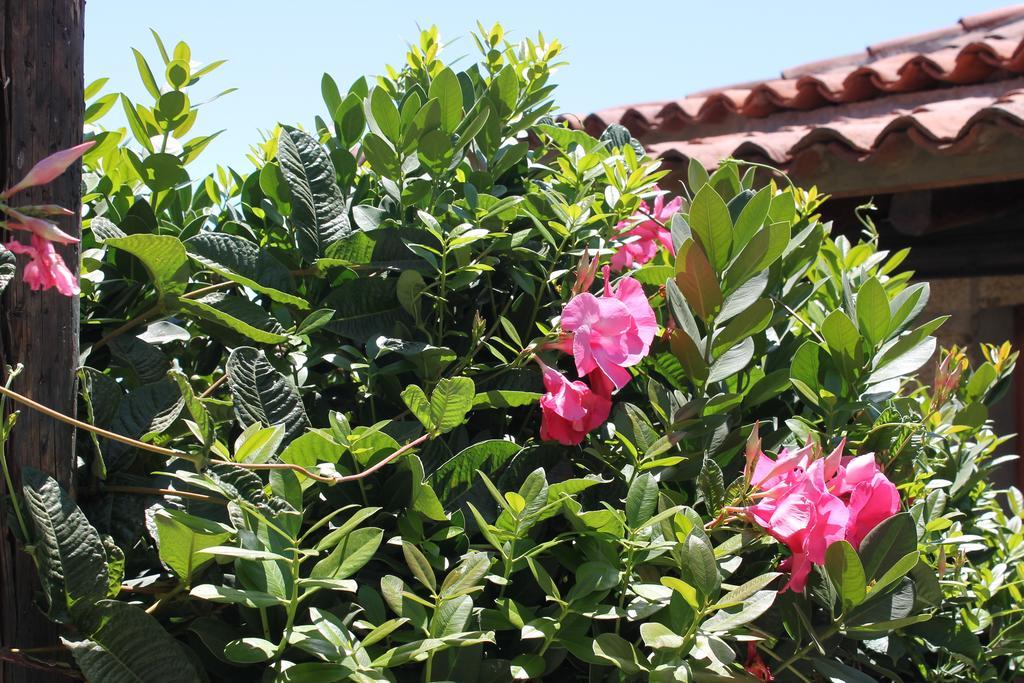Casa Rural Anton Piche With Pool-Adults Only Granadilla De Abona Exterior foto