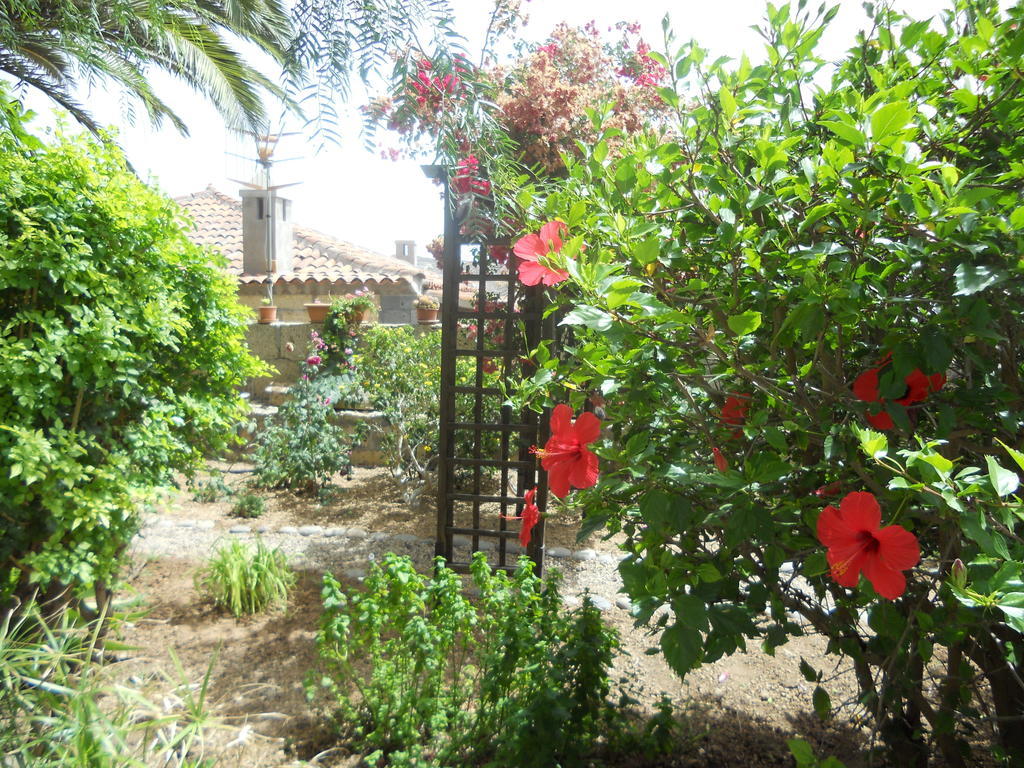 Casa Rural Anton Piche With Pool-Adults Only Granadilla De Abona Exterior foto