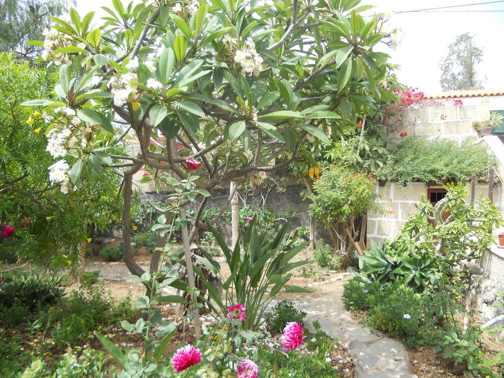 Casa Rural Anton Piche With Pool-Adults Only Granadilla De Abona Exterior foto