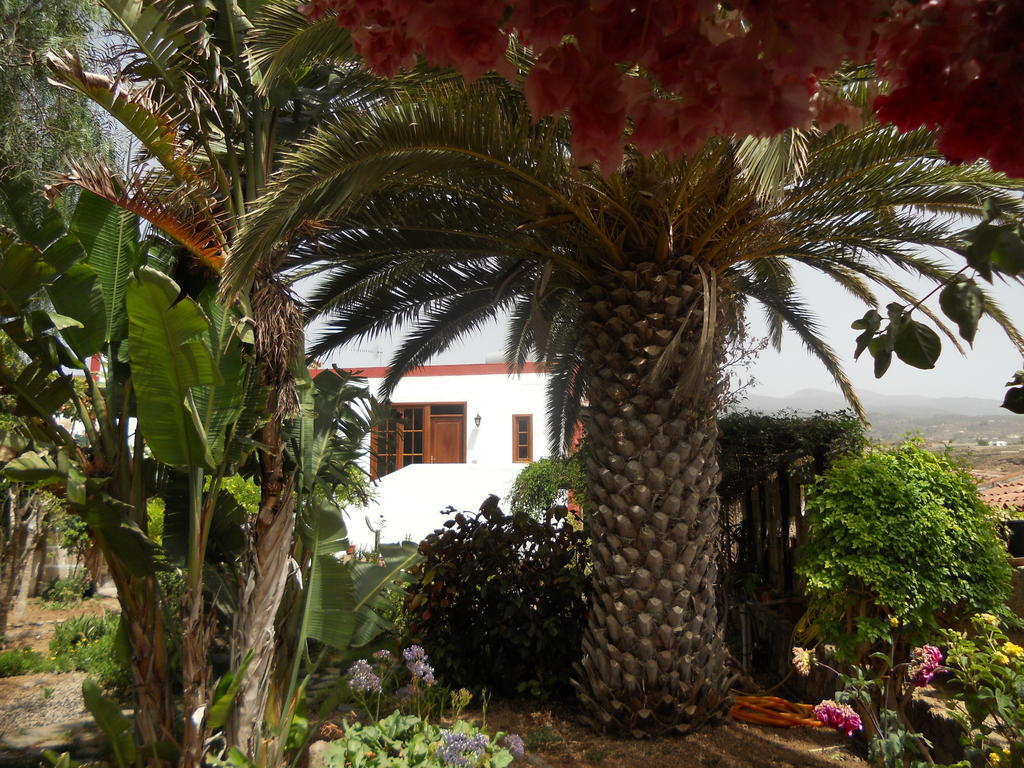 Casa Rural Anton Piche With Pool-Adults Only Granadilla De Abona Exterior foto